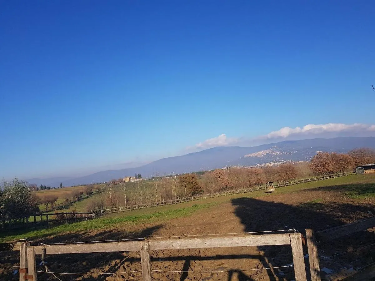 Cortona Gabolina E Turata Holiday Home 0*,