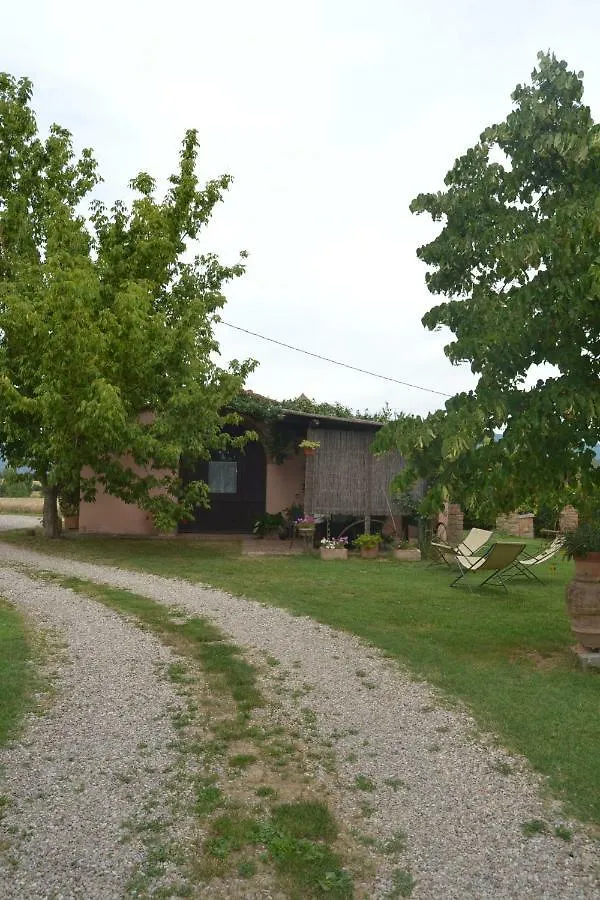 Cortona Gabolina E Turata Holiday Home Italy